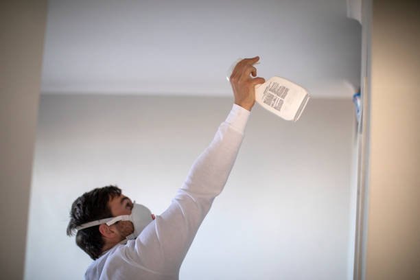 Best Fast Mold Removal  in Mcconnellsburg, PA