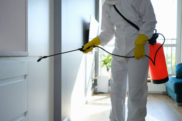 Best Mold Removal Company Near Me  in Mcconnellsburg, PA