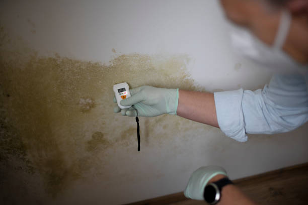 Best Crawl Space Mold Removal  in Mcconnellsburg, PA