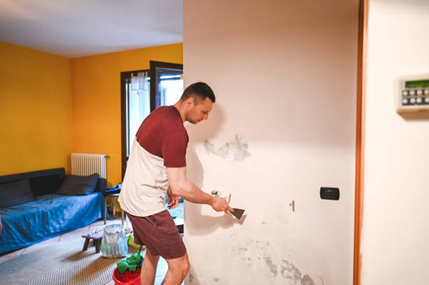 Best Mold Inspection  in Mcconnellsburg, PA