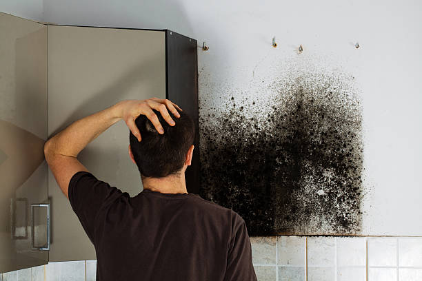 Best Residential Mold Removal  in Mcconnellsburg, PA