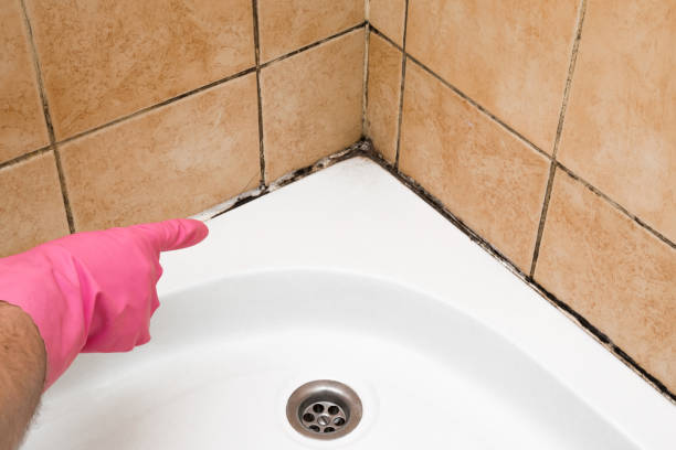 Best Mold Testing  in Mcconnellsburg, PA
